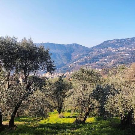 Bas De Villa. Cote D'Azur, A 20 Kms De Nice Contes  المظهر الخارجي الصورة